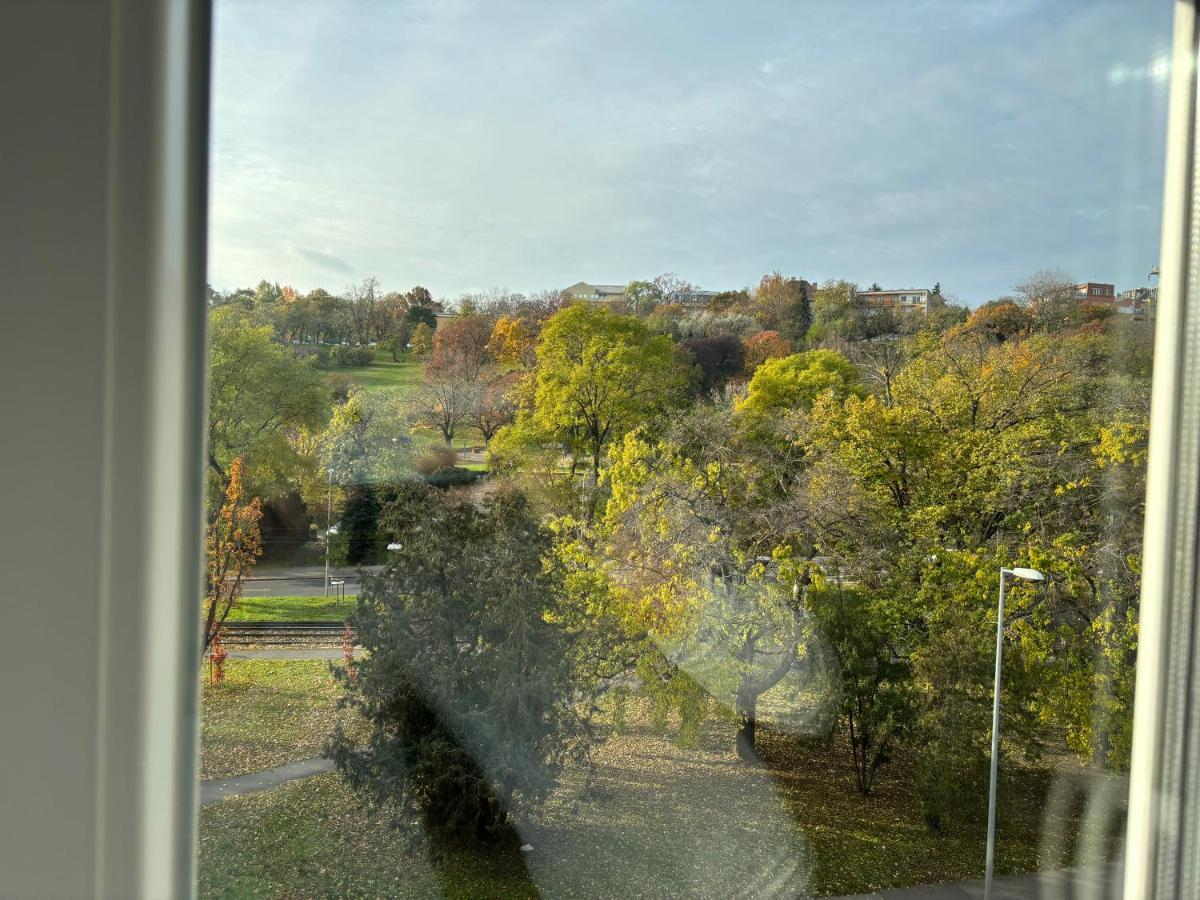 בודפשט Cozy Panorama Apartment Next To The Buda Castle מראה חיצוני תמונה
